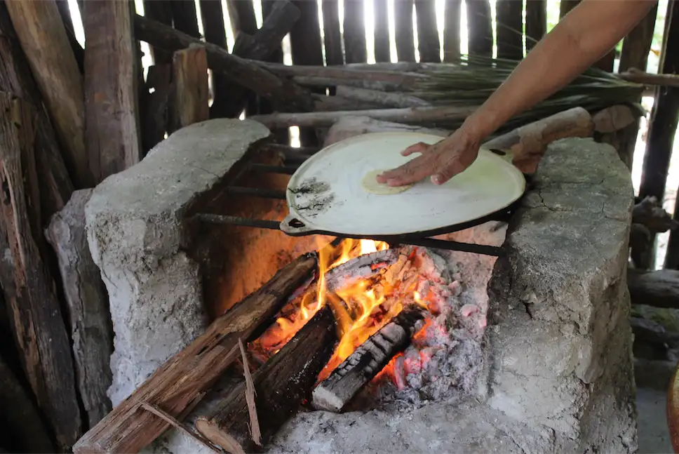 Mayan Sanctuary Tour Cozumel