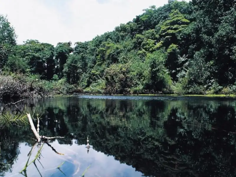 Tortuguero National Park from San José