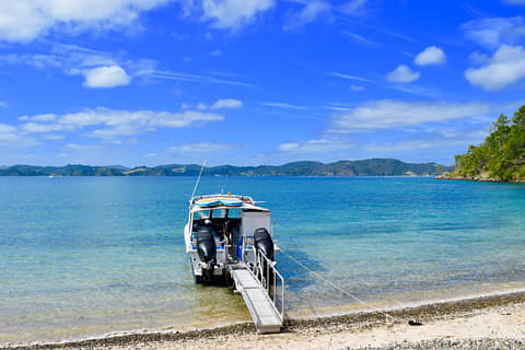 3 hour Cruise - Bay of Islands