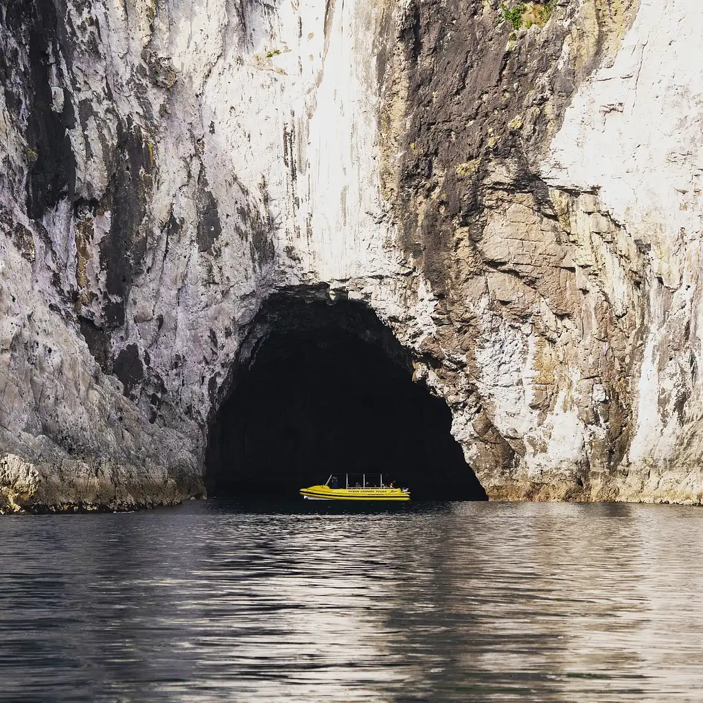 The Full Monty Boat Tour - New Zealand