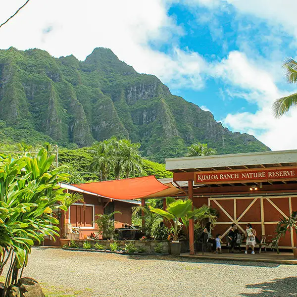 Majestic Circle Oahu Island Tour