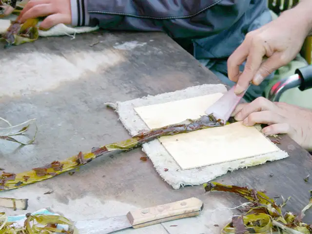 Learn Washi Art and Japanese Paper Making
