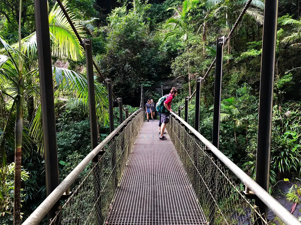 Springbrook Full Day Tour from Brisbane