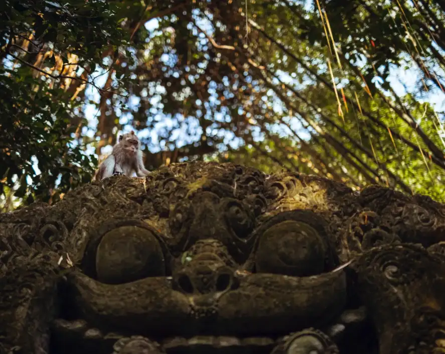Full Day Best of Ubud with Jungle Swing - Small group Tour