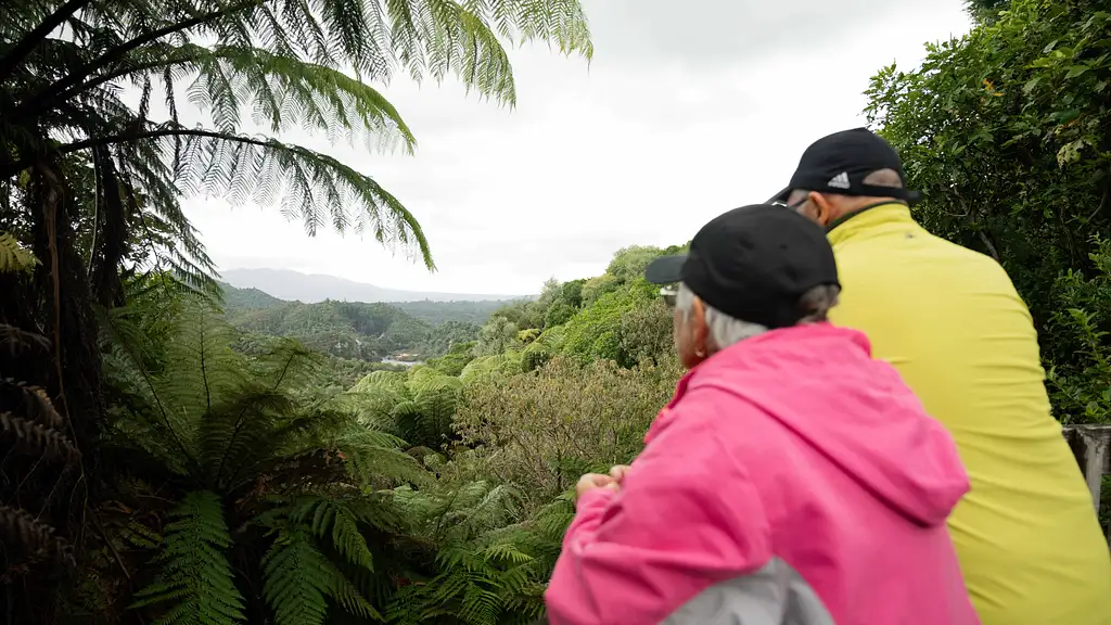 Waimangu Valley Walk and Steaming Cliffs Kayak Tour