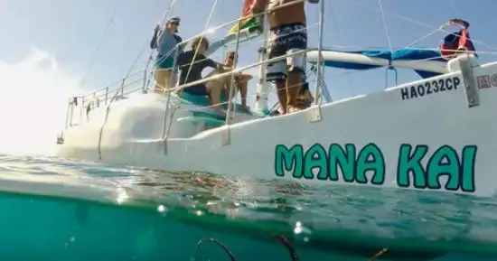Waikiki Turtle Snorkel Adventure