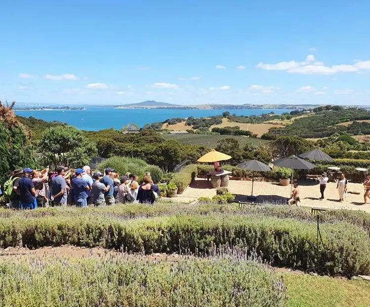 The Essence of Waiheke Wine Tour