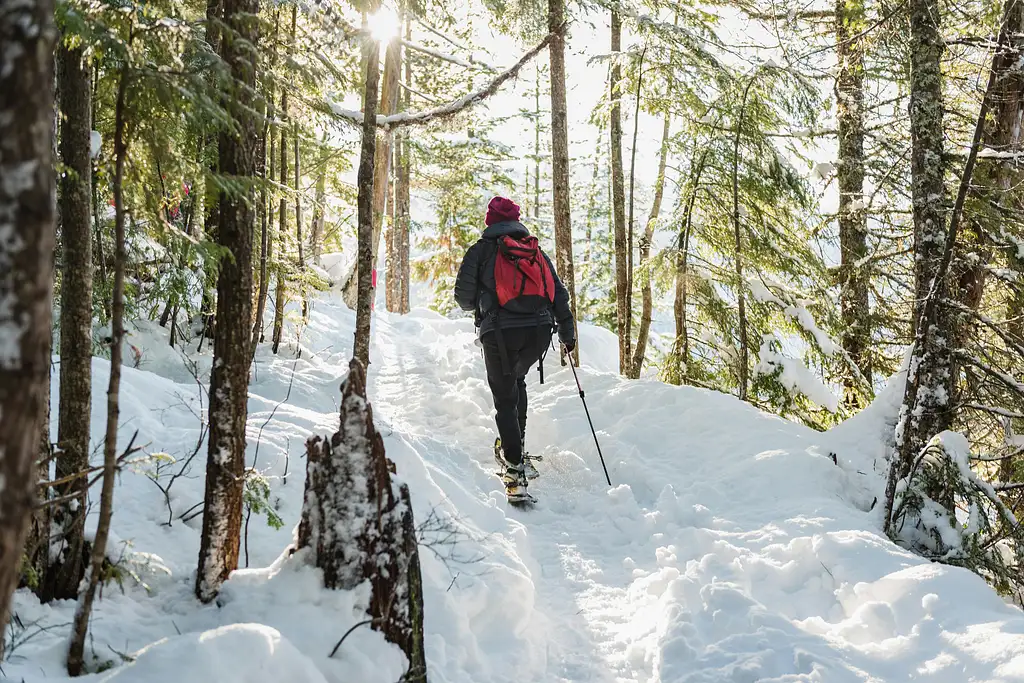 Squamish Sea to Sky Gondola Ticket