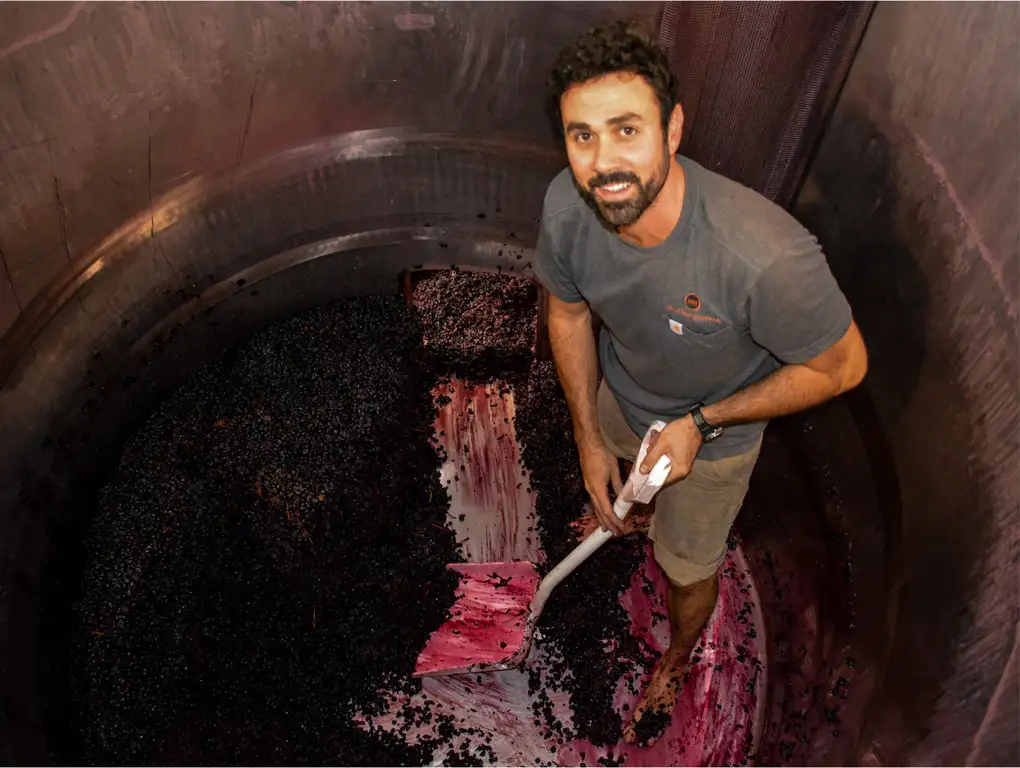 Premium Vineyard Wine & Food Tour - Margaret River