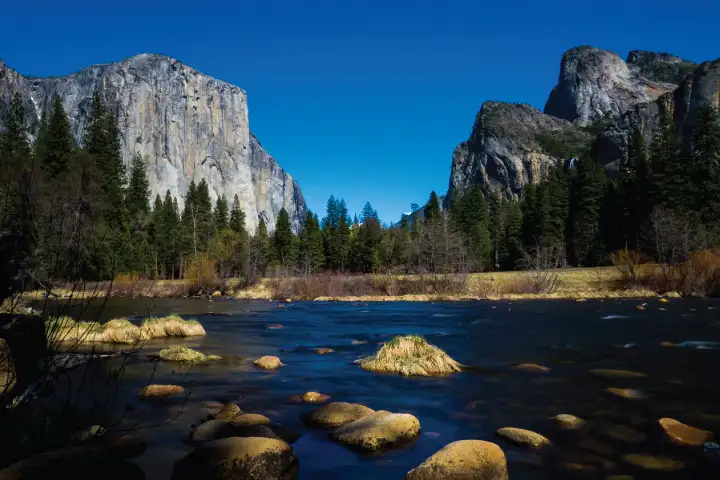 Yosemite National Park Tour
