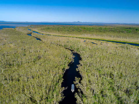 everglades eco safari