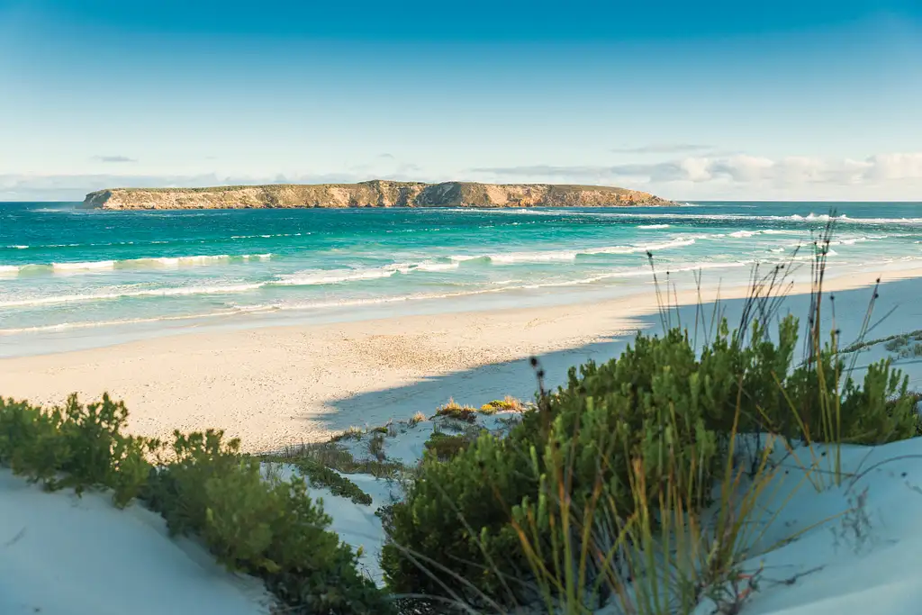 Coffin Bay Oyster Farm Day Tour