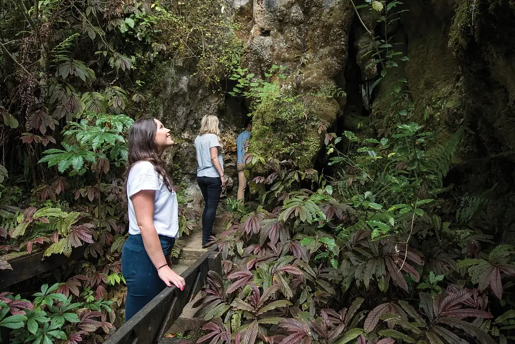Aranui Cave Tour