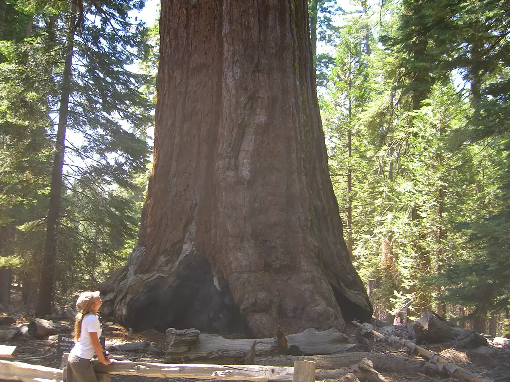 11 Day Yellowstone, Rocky Mountain & California Desert Tour