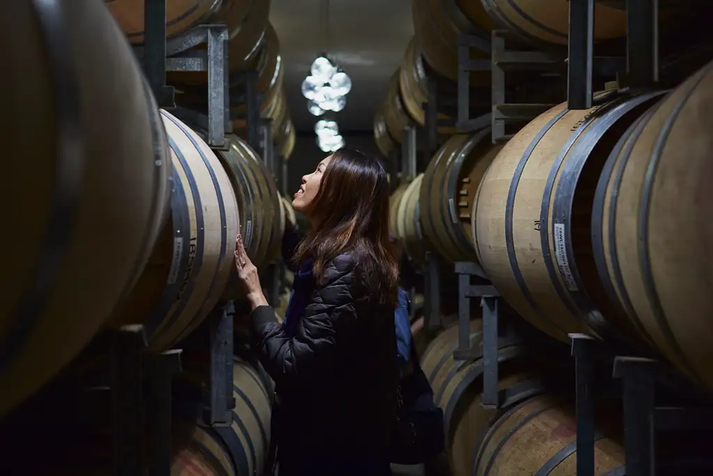 Premium Vineyard Wine & Food Tour - Margaret River