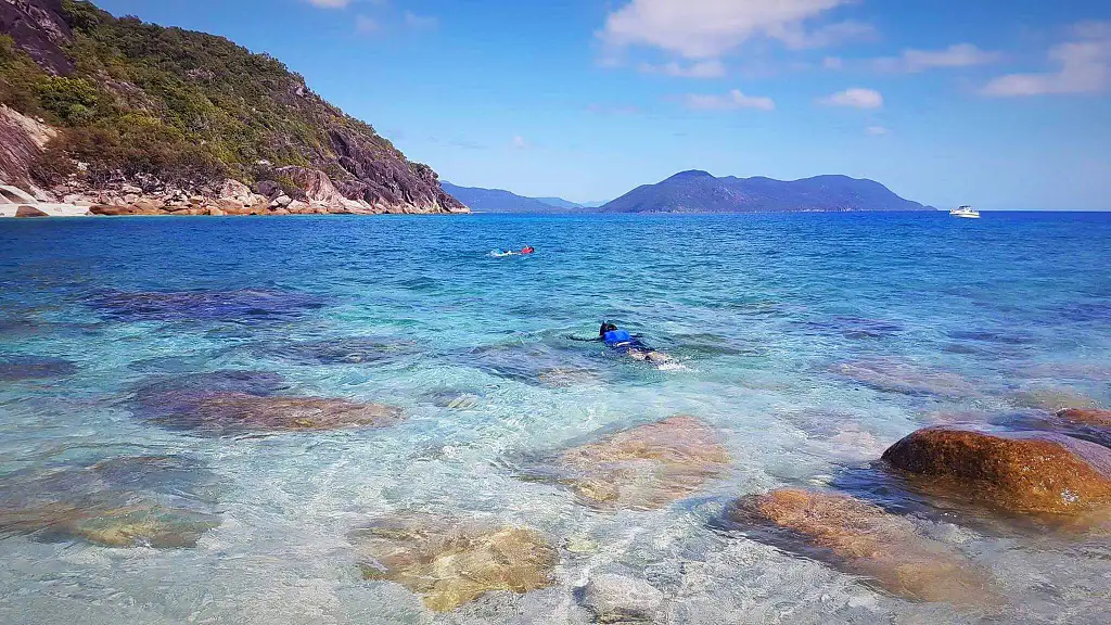 Fitzroy Island SUP & Snorkel
