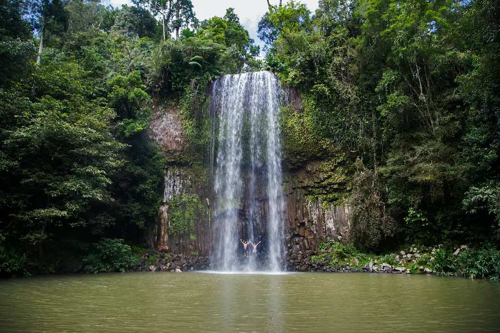 15 Day Australia East Coast Tour (Dingo) | Brisbane to Cairns | Stray