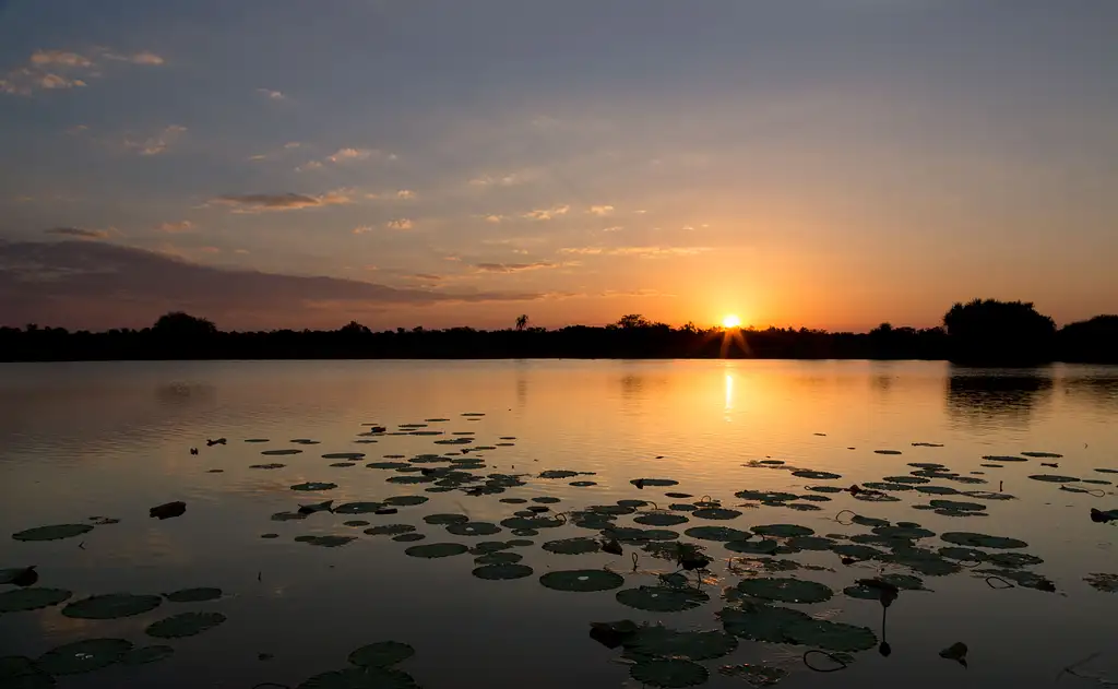 Corroboree Billabong | 2 Hour Sunrise Wetland Cruise