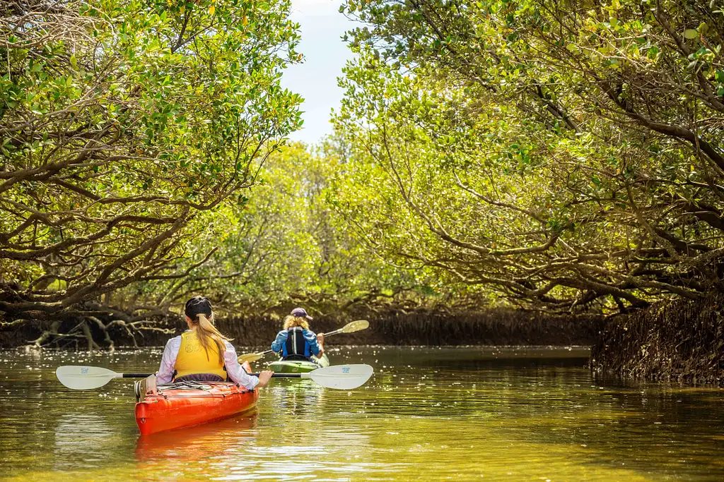Ships' Graveyard & Dolphin Kayak Tour