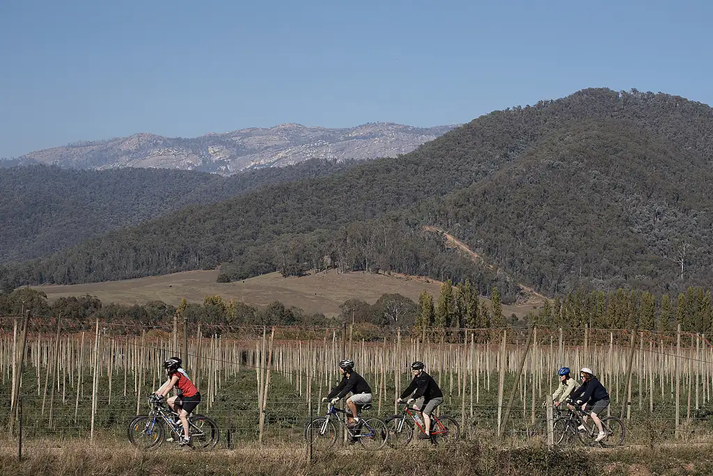 4 Day Cycle of the Murray to Mountains Rail Trail | Intrepid Tour