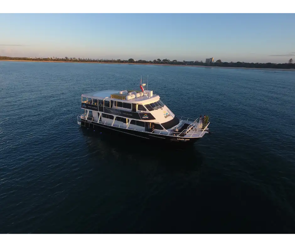 Mudjimba Island Cruise