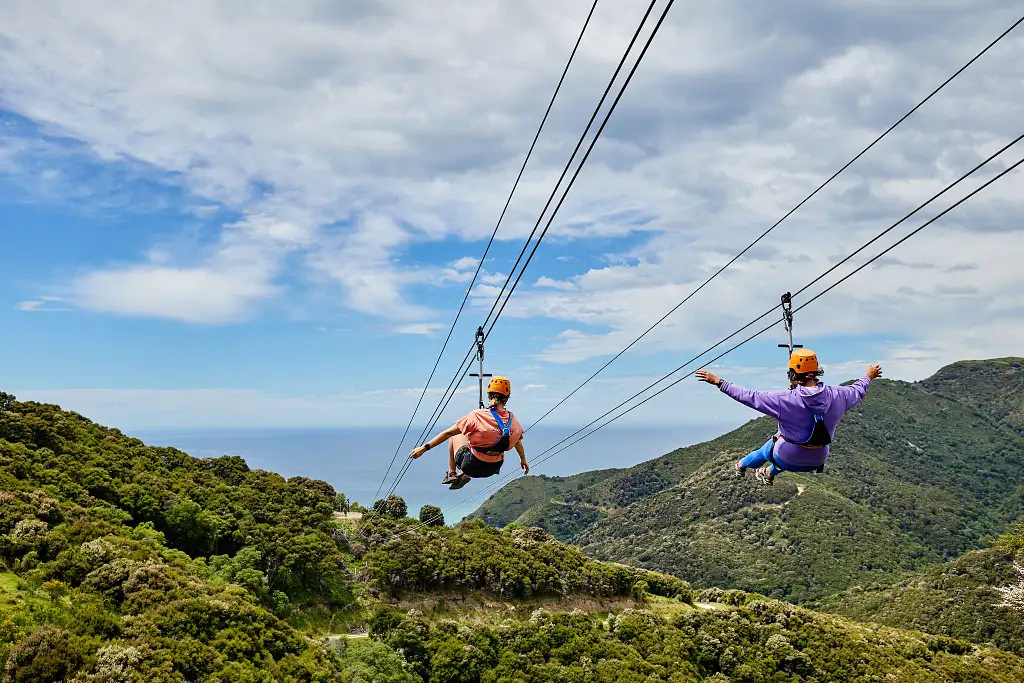 Ziplining & Native Forest Trail | Kaikoura