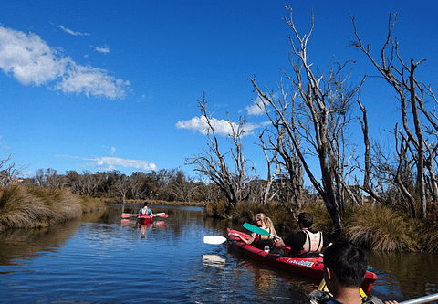 Perth kayak tour discount