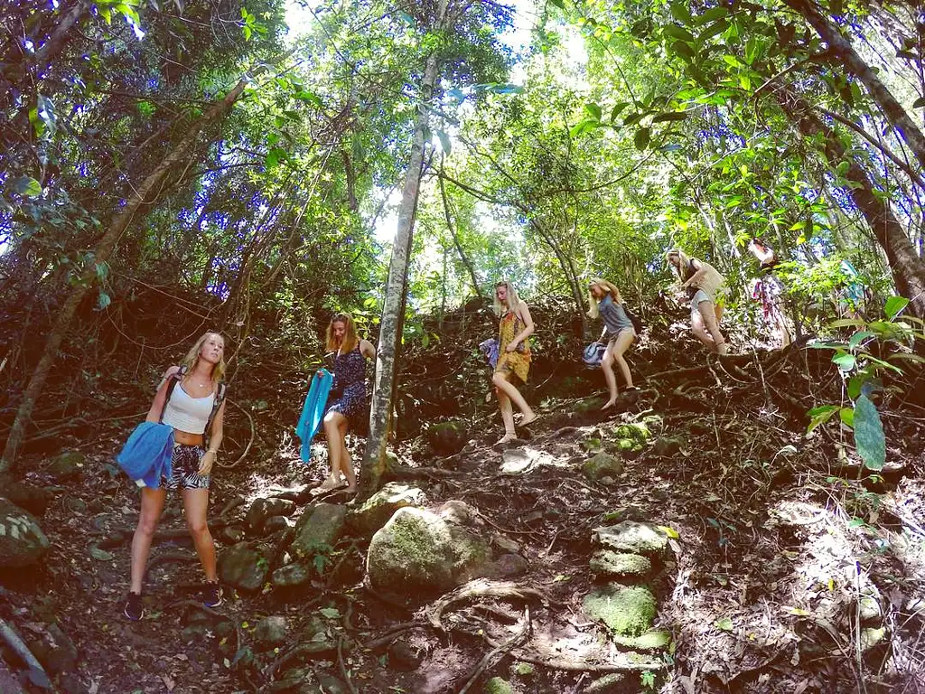 Nimbin Waterfall Adventure Byron Bay - 1 Day