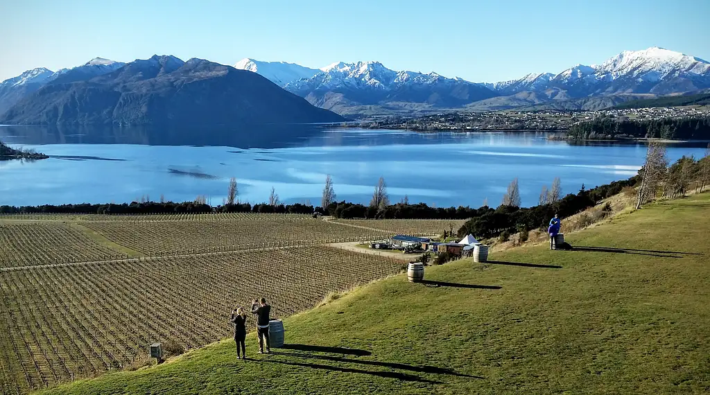 Taste of Wanaka Wine Tour