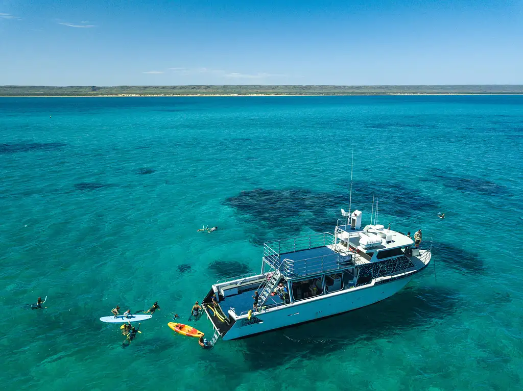 Swim with Whale Sharks Ningaloo on a Powerboat (March-June) | from Exmouth