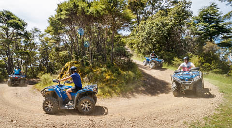Nelson Quad Bike Farm Tour deals