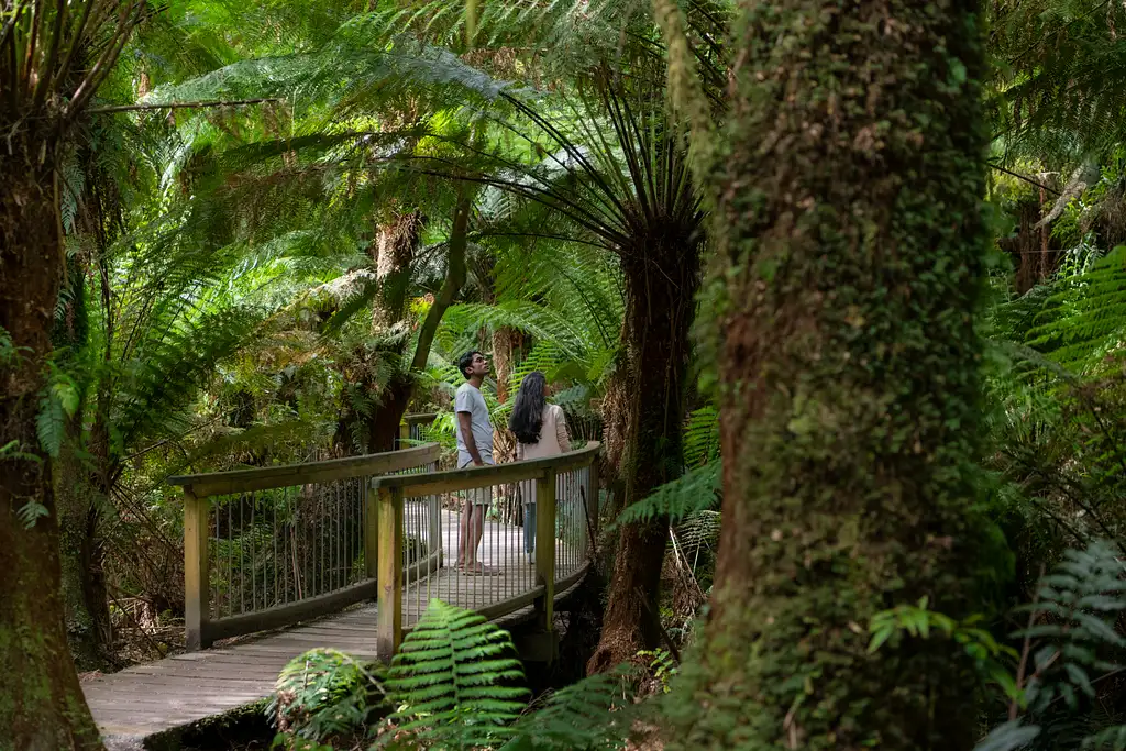 3 Day Great Ocean Road & Grampians Tour | Adelaide to Melbourne