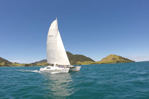 Bay of Islands Sundowner Cruise deals