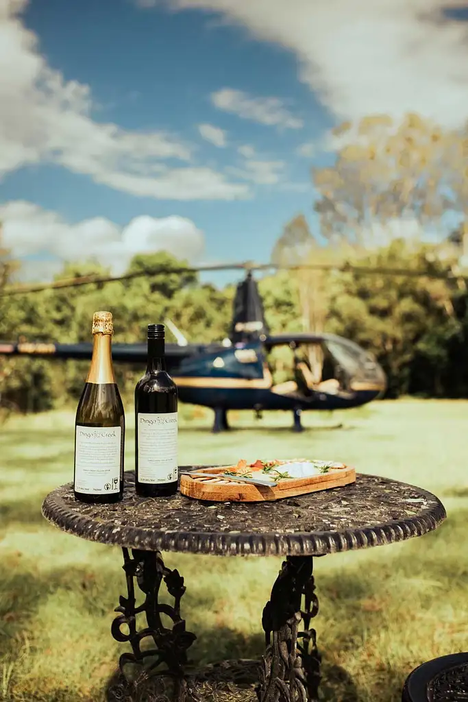 Dingo Creek Vineyard Picnic Helicopter Tour