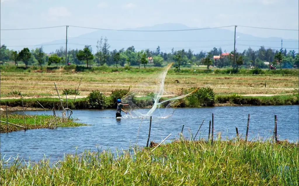 Half-day Kim Bong Eco-tour by Bicycle and Bamboo Boat Ride