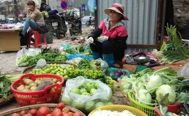 Hanoi Foodie’s Tour: A Culinary Adventure