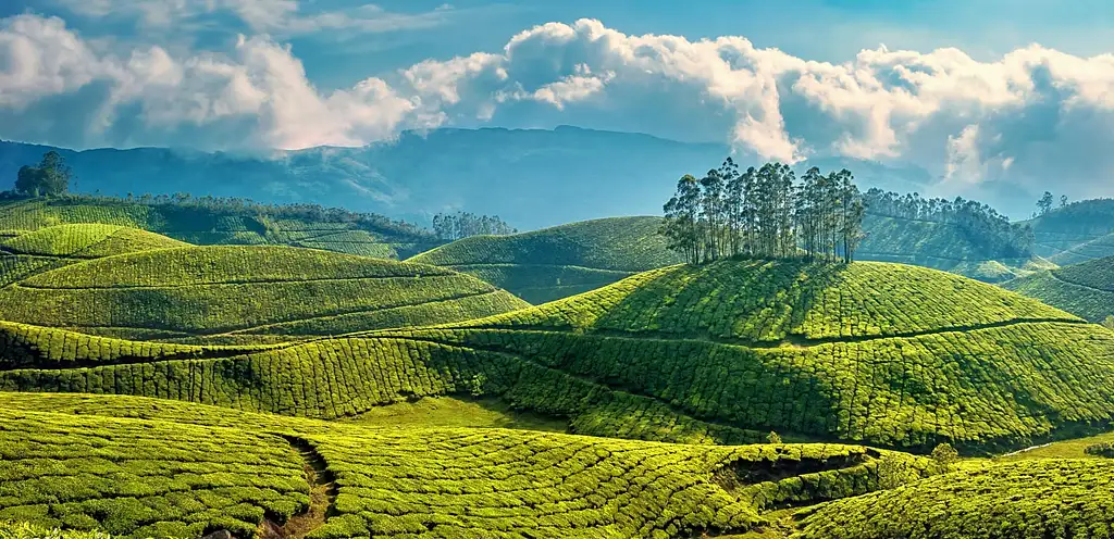 Best of Kerala Tour
