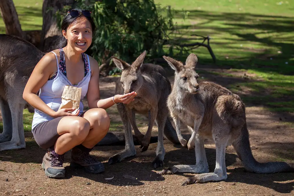 Mount Field, Mt Wellington & Wildlife Sanctuary Tour From Hobart