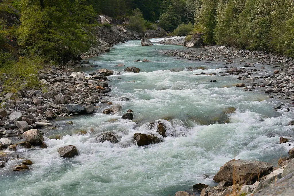 Sea to Sky Gondola and Whistler Sightseeing Tour
