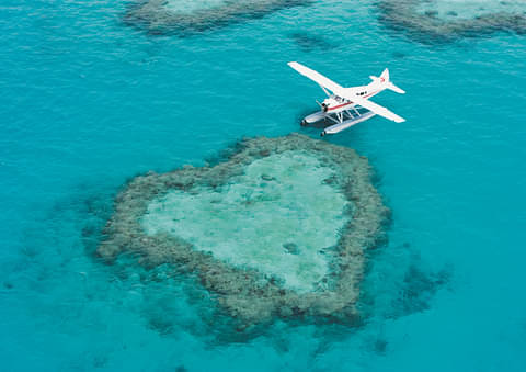 Heart Reef Seaplane Tour