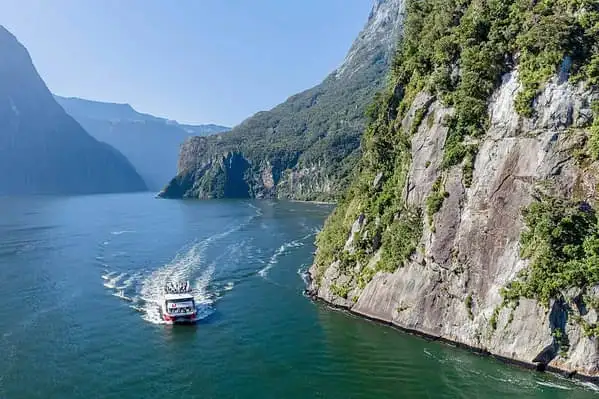 A wide shot of a cruise boat travelling along the blue waters and beside the lush green rocky mountains of Milford Sound.