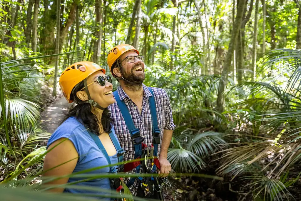 Waiheke Deluxe - Zipline & Wine Tour with Lunch, includes ferry from Auckland
