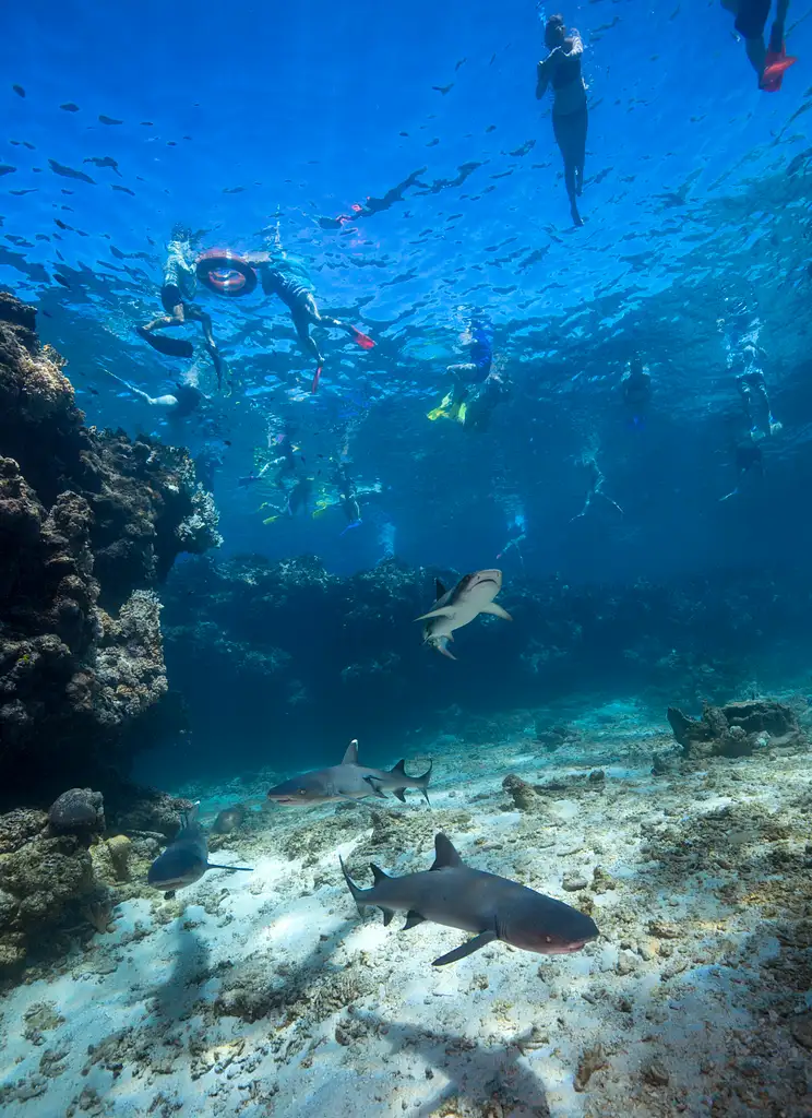 8 Day Yasawa Wanderer | Awesome Adventures Fiji