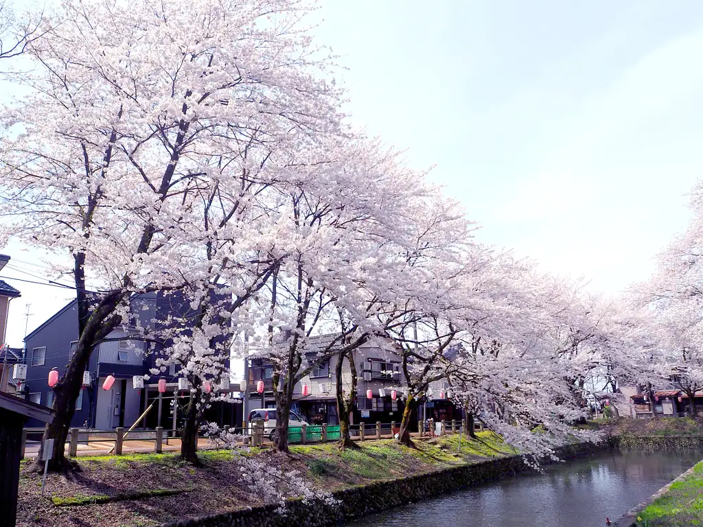 Visit Shinto Shrine and Taste Locally Brewed Sake