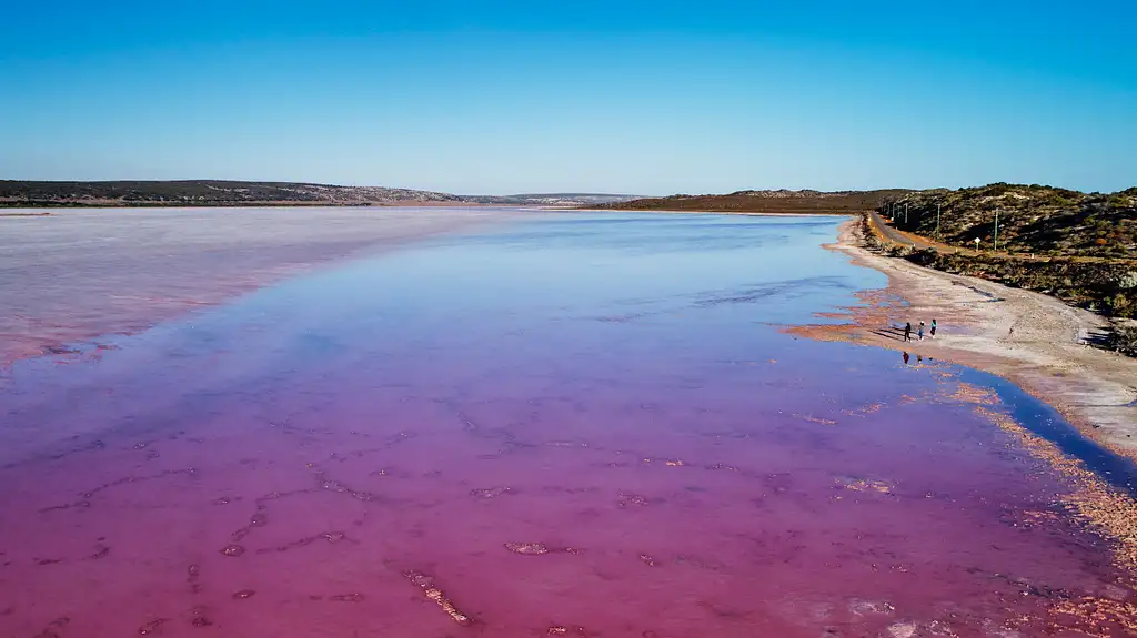 Hutt Lagoon Pink Lake Flight from Geraldton