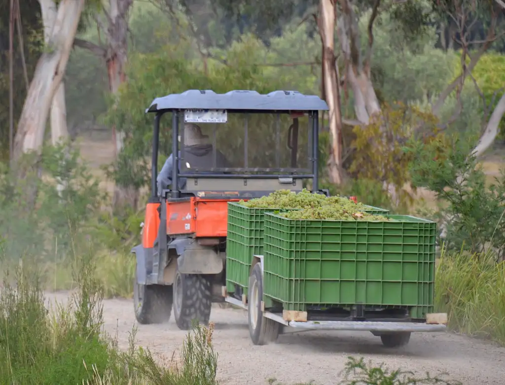 Yarra Valley Winery Tour With Lunch