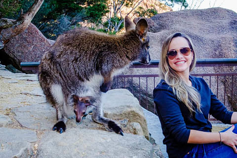 wineglass bay day trip