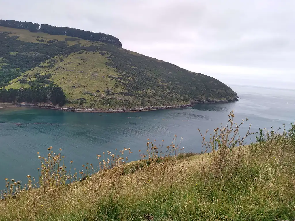 Hike and Kayak Combo - Akaroa