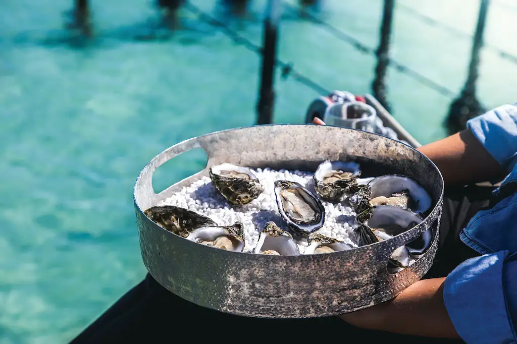 Port Lincoln & Coffin Bay Private Luxury Day Tour