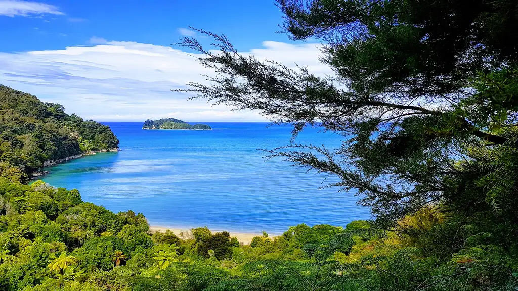 11 Day Takahe Tour | Christchurch to Christchurch | Stray